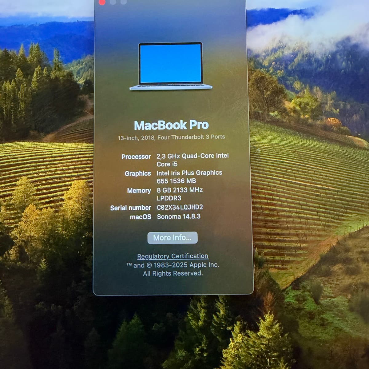 MacBook Pro 13" (2018)