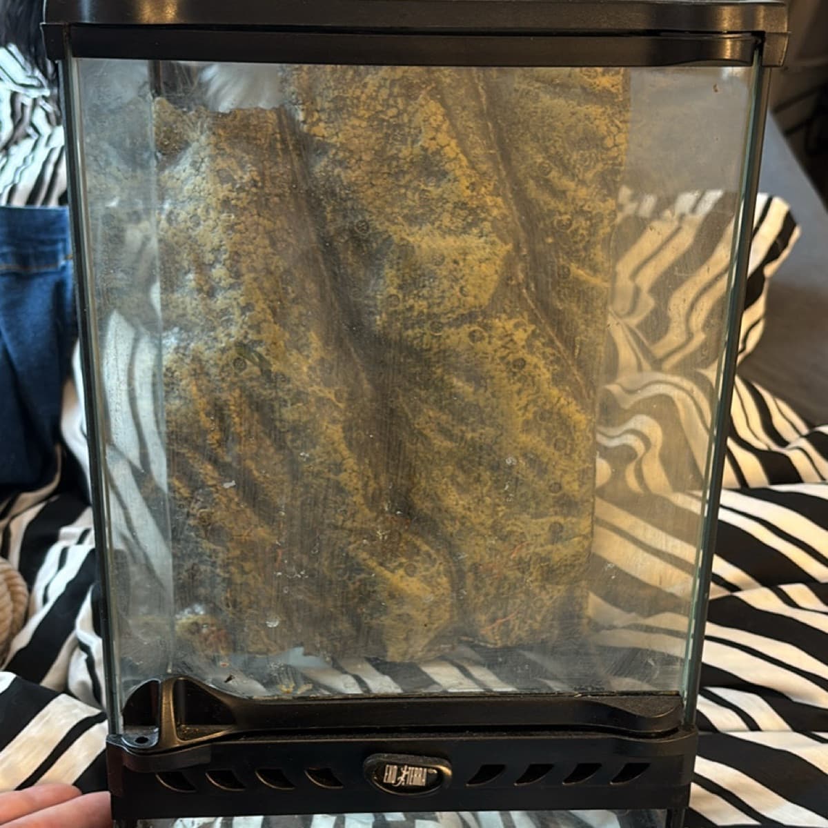 Exo Terra terrarium